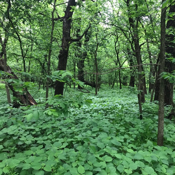 About Me - Picture 2 of 7